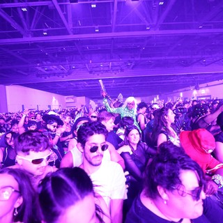 Massive Crowd Energy at Wobbleland 2026 Festival