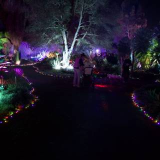 Enchanted Evenings at Ruth Bancroft Garden