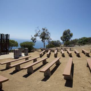 A Sea of Wooden Benches