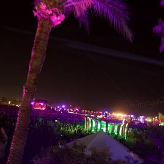 Purple Palm Tree Lights Illuminate Coachella Crowd