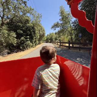 Joyride Under the Summer Sun