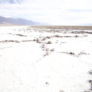 Surreal Salt Flats