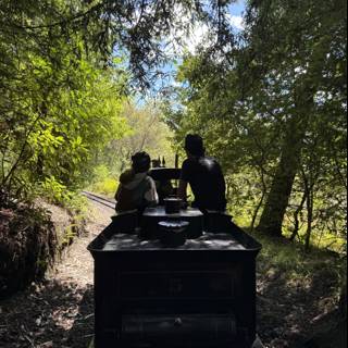 Journey Through the Grove