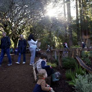 Woodland Adventure at Thistlewyck