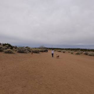 Desert Walk with my Pooch