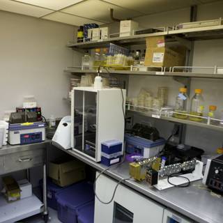 Inside the Lab