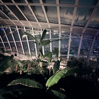 Sky Garden Observatory at Night with City Lights