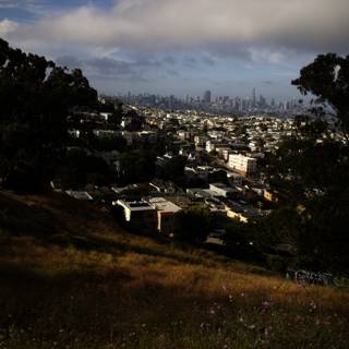 Kite Above the Cityscape: A San Francisco Tale