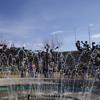 Fountain Display in Urban Park with Bare Trees