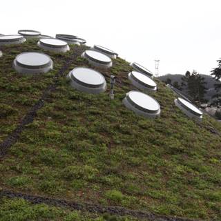 Circular Windows on Green Roof