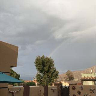 Rainbow Oasis in the Desert