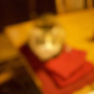 Blurry Feline on a Wooden Table