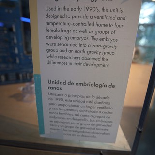 Frog Embryology Unit Display at Science Museum