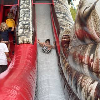 Adventure Down the Slide