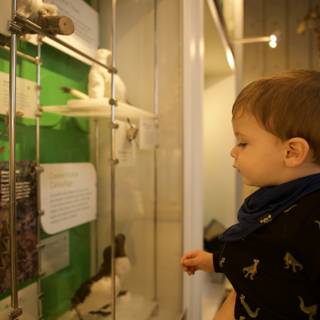 Childlike Wonder: A Day at the Museum