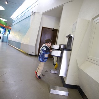 Young Student at Water Fountain in School Hallway