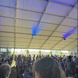 Buzzing Vibes Under the Canopy