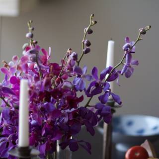Purple Beauty in Candlelight