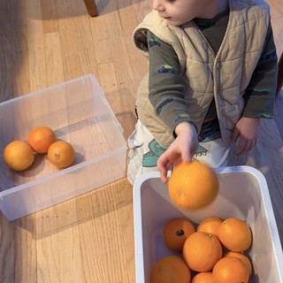 Young Boy Sorting Oranges in Kitchen Activity