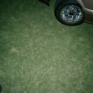 Parked Car with Alloy Wheel on Grass