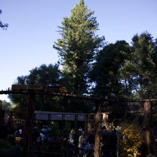 Enchantment in the Gardens of Thistlewyck