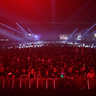 Massive Crowd Surges at Wobbleland 2026 Festival