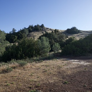 Sunlit Hills and Chaparral at Mount Diablo