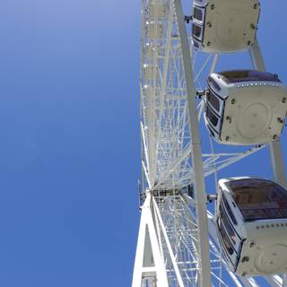 Sky-High Fun on the Ferris Wheel