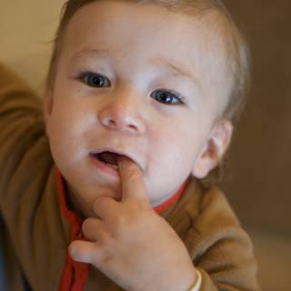 Curious Moments at Thistlewyck