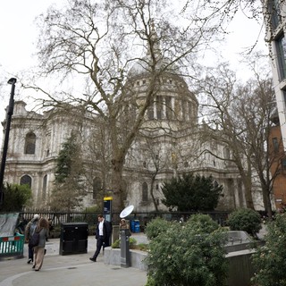 St Paul's Cathedral Through Bare Winter Trees