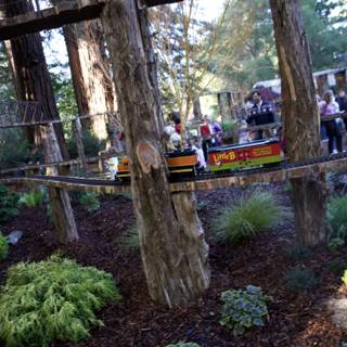 Woodland Railway Adventure