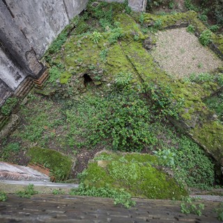 Overgrown Courtyard of Abandoned Historical Building