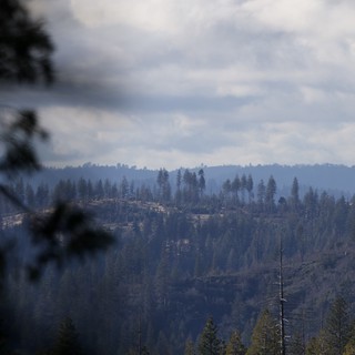 Smoke Drifts Over Burned Forest Ridgeline