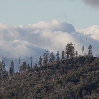 Dramatic Wildfire Smoke Over Forested Mountain Ridge