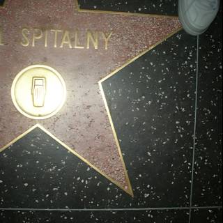 In Memoriam: Jim Spitalny's Star on the Hollywood Walk of Fame