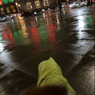 Green Jacket Dog Takes On the City