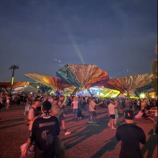 Under the Night Sky at Eldorado