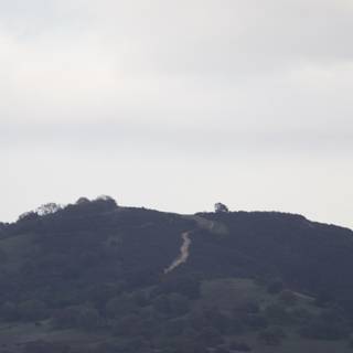 Pathway Through the Hills
