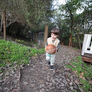 Young Child Carrying Basketball in Backyard Garden
