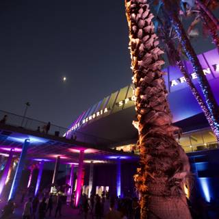 Illuminated Palm Tree in Urban Nightlife