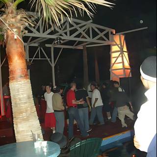 Night Club Gathering by Palm Trees