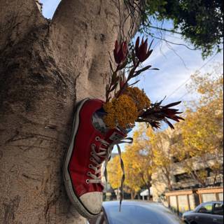 Sneaker Blooms on the Streets of San Francisco