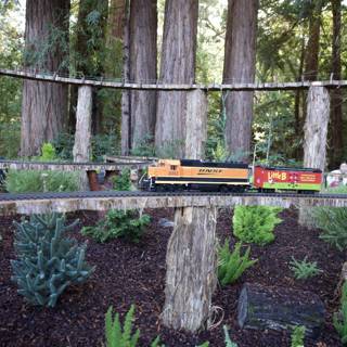 Nature's Railroad Adventure