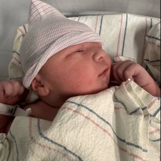 Welcome to the World, Wesley