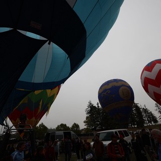 Hot Air Balloons Rising at Sonoma County Classic