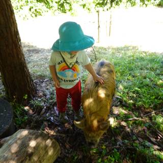 A Day in the Woodland
