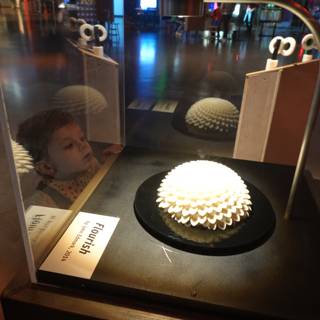 Wonder in the Glass Display
