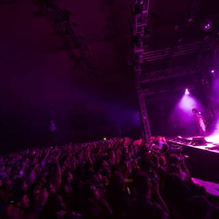 Purple Haze at the Rock Concert