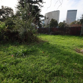 Urban Green Space with Downtown Skyline View
