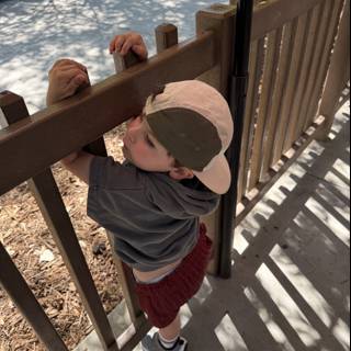 Curious Moments at the Zoo